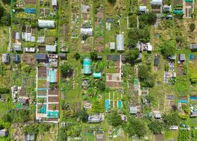 Community Plot