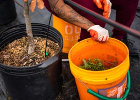 Compost Tea Brewing 101