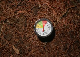 Compost Yard