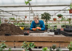 Winterizing the Greenhouse