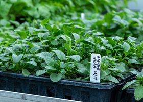 Propagation Barn