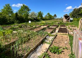 North Beds